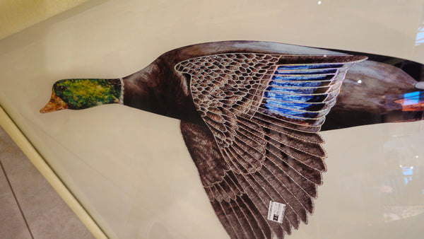 Wand Bilder "Ente" Designerstück